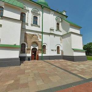 Volodymyrska Street, 24, Kyiv: photo