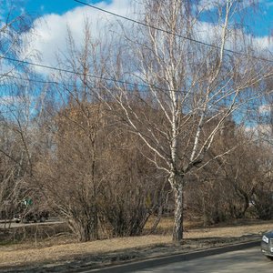 Екатеринбург, Улица Блюхера, 79: фото