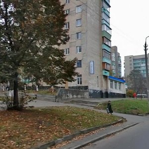 Oleksy Tykhoho Street, 41/23, : foto