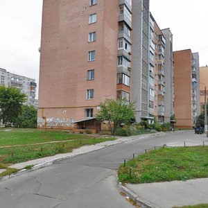 Dniprovska vulytsia, 5, Vyshhorod: photo