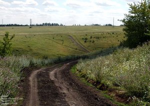 Карта полибино оренбургская область