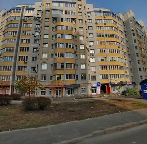 Kniazhyi Zaton Street, 4, Kyiv: photo