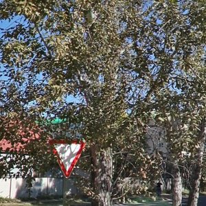 Dzerzhinskogo Street, 13А ، : صورة
