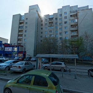 Mamina-Sibiryaka Street, 10, Yekaterinburg: photo