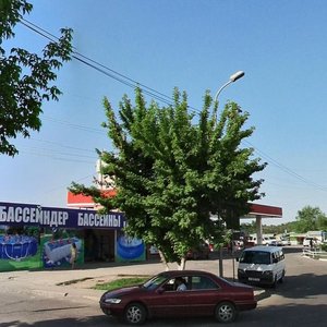 Raiymbek Avenue, 239, Almaty: photo