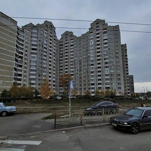 Akademika Yefremova Street, 19А, Kyiv: photo