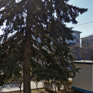 Karla Marxa Avenue, 8, Stavropol: photo