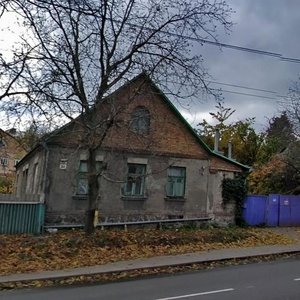 Valeriia Lobanovskoho Avenue, 94А, Kyiv: photo