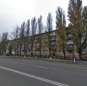 Vatslava Havela Boulevard, 93, Kyiv: photo