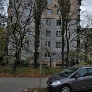 Mytropolyta Vasylia Lypkivskoho Street, 5 ، كييف: صورة