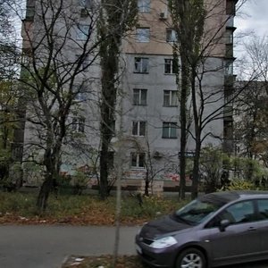 Mytropolyta Vasylia Lypkivskoho Street, 5, Kyiv: photo