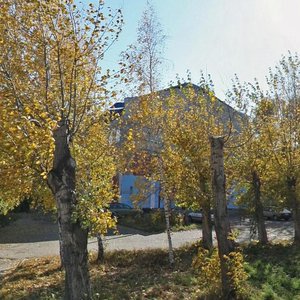 Novorossiyskaya Street, 7, Barnaul: photo