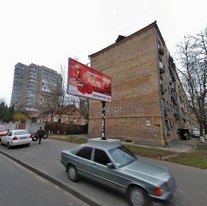 Oleksy Tykhoho Street, 22А, Kyiv: photo