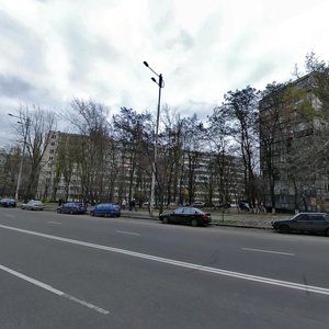 Mytropolyta Vasylia Lypkivskoho Street, 13, Kyiv: photo