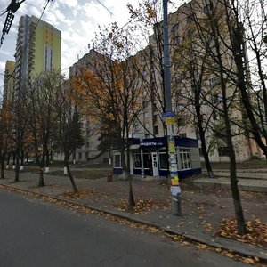 Nauky Avenue, 26, Kyiv: photo