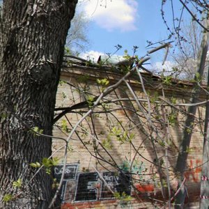 Gazetniy Lane, 104, : foto