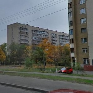 Volho-Donskyi Lane, 1, Kyiv: photo