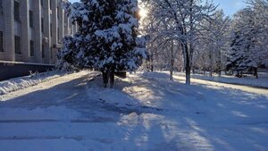 Prospekt Shakhtobudivnykiv, 5, Pavlohrad: photo