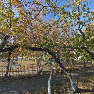 Molodyozhi Street, 35, Kurgan: photo