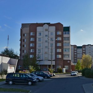 Janki Luchyny Street, 8, : foto