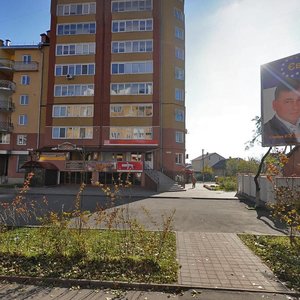 Vovchynetska vulytsia, 124, Ivano‑Frankivsk: photo