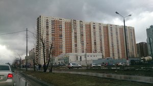 Akademika Chelomeya Street, 10, Reutov: photo