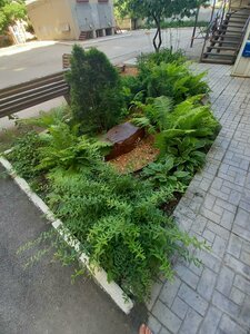 Rabochaya Street, 85, Samara: photo