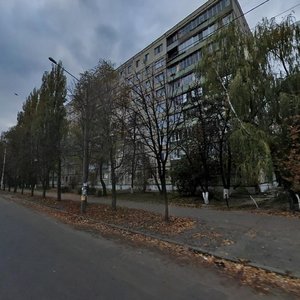 Zodchykh Street, 4, Kyiv: photo