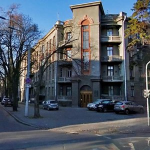 Shovkovychna Street, 8, Kyiv: photo