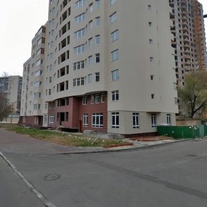 Maksyma Kryvonosa Street, 17, Kyiv: photo