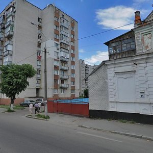 Sviatoslava Rikhtera Street, 41, : foto