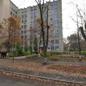 Aviakonstruktora Antonova Street, 5А, Kyiv: photo