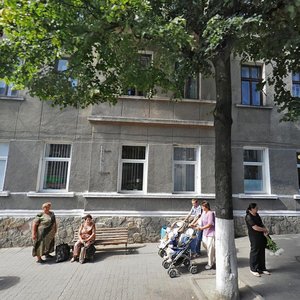 Vulytsia Kniazia Ostrozkoho, 6, Ternopil: photo
