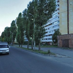 Nadii Aleksieienko Street, 104, Dnipro: photo