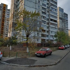 Pryrichna Street, 31, Kyiv: photo