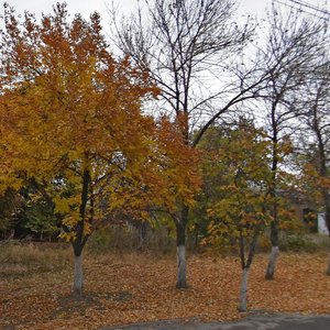 Novo-Astrakhanskoye shosse, 113/1, Saratov: photo
