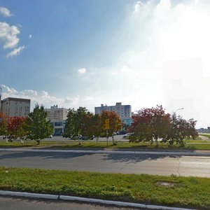 Stroiteley Avenue, 55 ، : صورة