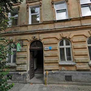 Vulytsia Panteleimona Kulisha, 25А, Lviv: photo