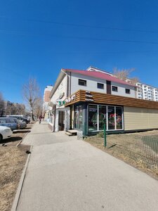 Chudnenko Street, 96, Barnaul: photo