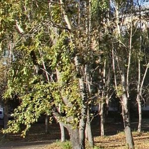 Oktyabrskiy Avenue, 26к2 ، : صورة