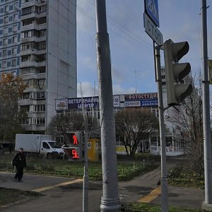 Москва, Улица Кулакова, 10к1: фото