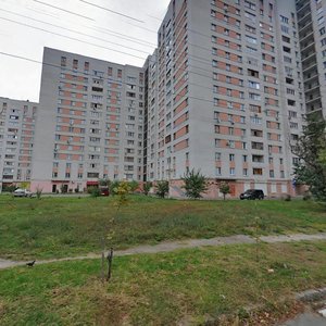 Vasylia Verkhovyntsia Street, No:10, Kiev: Fotoğraflar