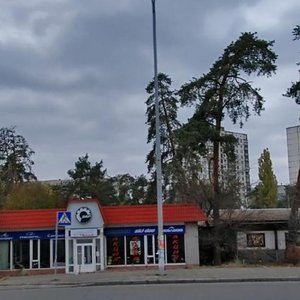 Brovarskyi Avenue, 29 ، كييف: صورة