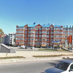 Pionerskaya Street, 71, Birobidgan: photo
