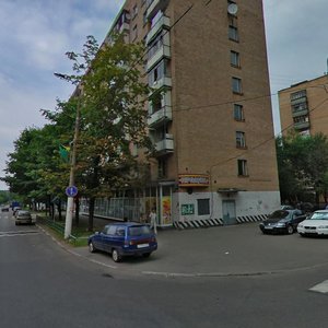 Sofyi Kovalevskoy Street, 6, : foto