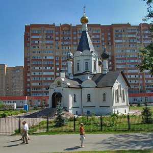 Домодедово, Каширское шоссе, 91А: фото