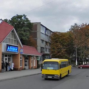 Ivana Mazepy Avenue, 1, Vyshhorod: photo