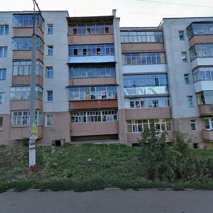 Veselovskogo Street, 27А, Saransk: photo