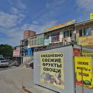 Moskovskaya ulitsa, 93, Novosibirsk: photo