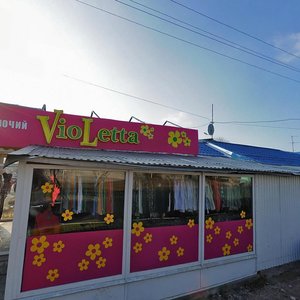 Miasna vulytsia, 1/23, Bila Tserkva: photo